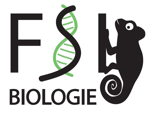 FSI-Logo klein