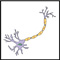 logo_neurobiologie