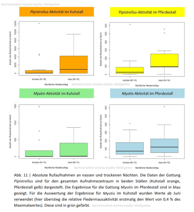 Screenshot_2020-11-22 BA_Andrea_final_11-01_PDFVersion pdf